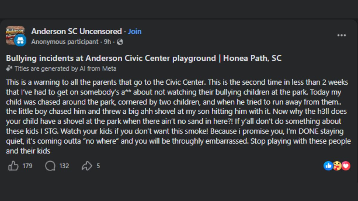 Honea Path SC playground bullying