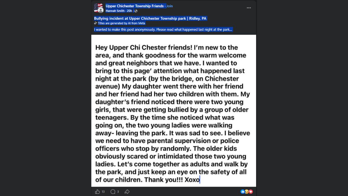 Upper Chichester Township park bullying