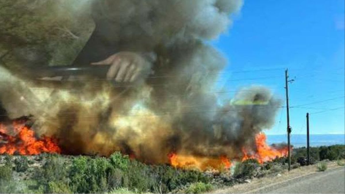 Wildfire Western Slope Colorado
