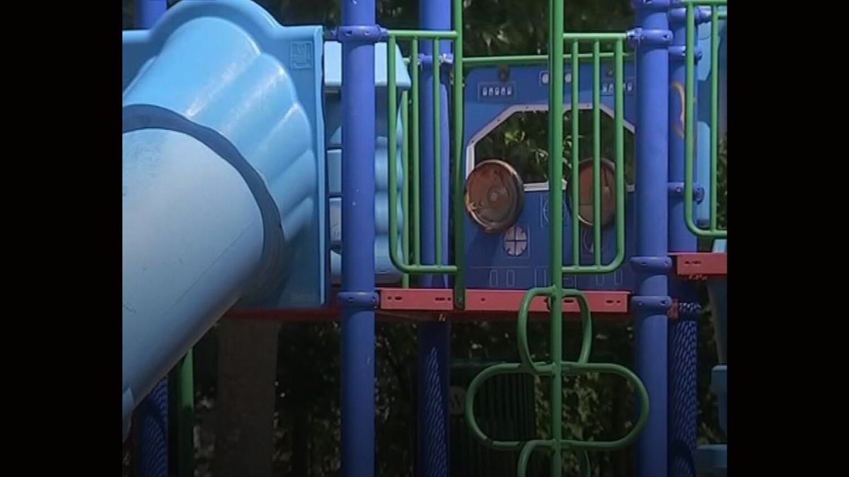 Wilkinsburg playground assault