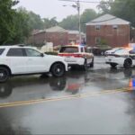 new haven shooting