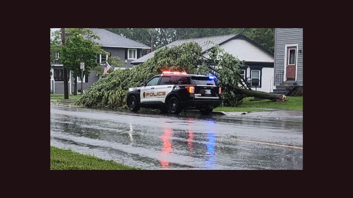 national weather service